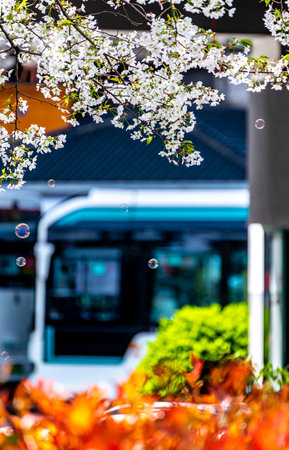 Bubbles in front of a bus.の写真素材