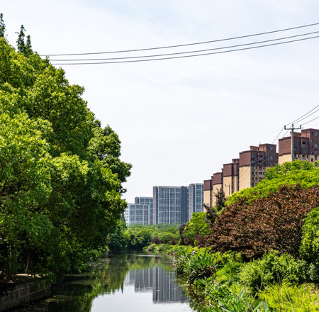 Urban landscape in the summer, riverside and green trees, Chinaの写真素材