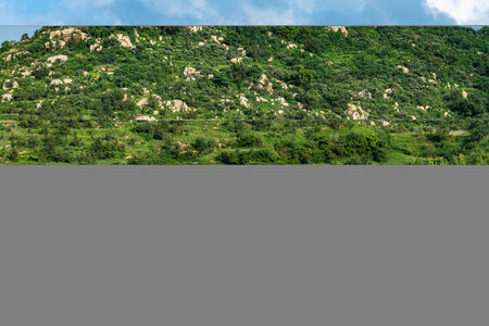 Mountain landscape with green trees and blue sky with clouds, natural background