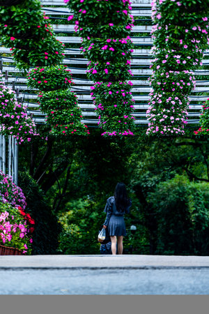 Woman walking on the road in the park with flowers in the foregroundの写真素材
