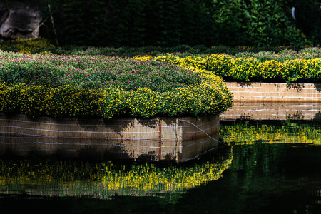 Colorful flowers in the garden on the lake with water reflection.の写真素材
