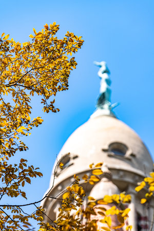 Autumn leaves against a building backdrop.の写真素材