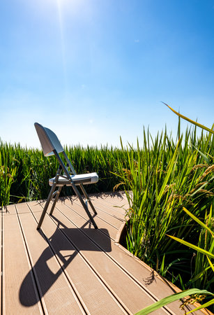 Wooden deck and chair on the background of rice field and blue skyの写真素材