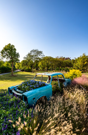 Vintage car in the garden with blue sky and white clouds.の写真素材