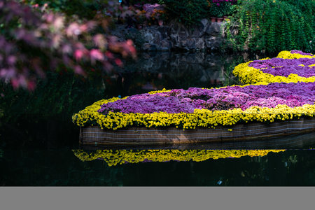 Colorful flowers in the garden on the lake in the morning.の写真素材