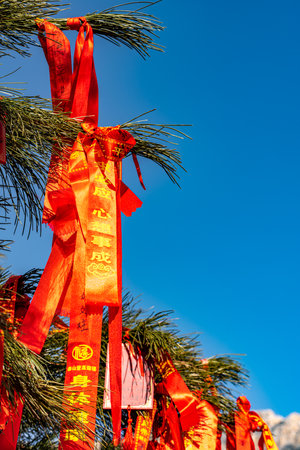 Red ribbons on the tree against the blue sky in winter.の写真素材