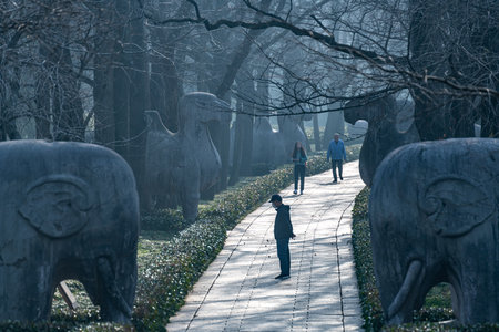 Unidentified people walking in the park.の写真素材