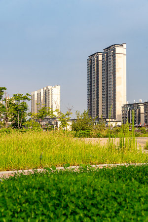 High rise buildings and green grass in the city, Bangkok, Thailand.のeditorial素材