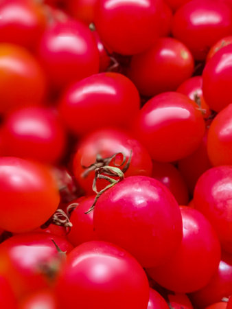 Close up of red cherry tomatoes on the market stall. Shallow depth of fieldの写真素材