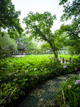 Beautiful landscaped garden in a park in Shanghai, China.の写真素材