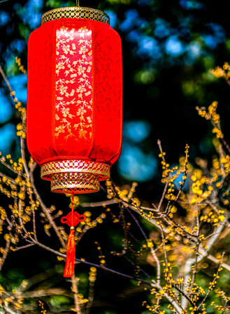 Chinese lanterns in the park, Thailand. Selective focus.の写真素材