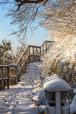 Wooden stairs in the park in winter. Beautiful winter landscape.の写真素材