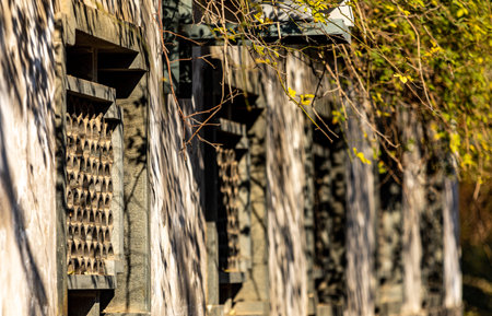 old wooden building in china. abstract background and texture for design.