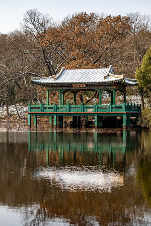 Pavilion in a parkの写真素材