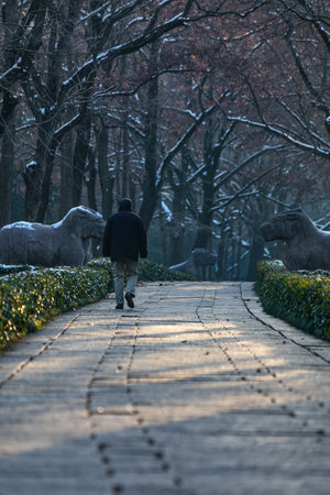 A man walking in the park in winter. A man walks in the park.の写真素材