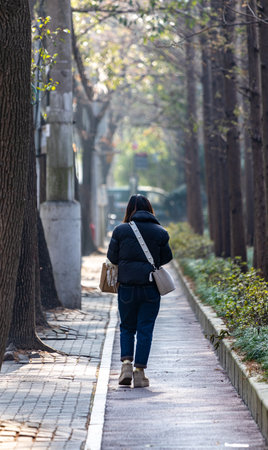 Woman walking in the park with a bag in her hand, back viewの写真素材