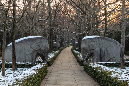 Elephant statues in the park at winter, Seoul, South Koreaの写真素材