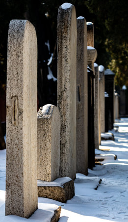 Old cemetery covered with snow in winter, Sofia, Bulgaria