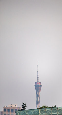 Auckland Sky Tower in Auckland, New Zealand.の写真素材