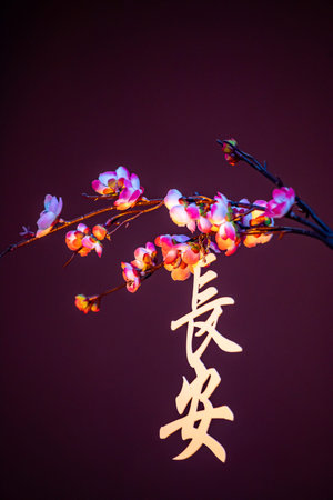 Chinese calligraphy on the branches of a blossoming tree.の写真素材