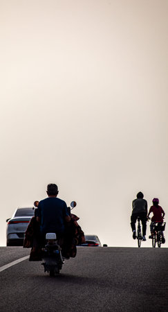 Cyclists riding on the road in the morning, rear view