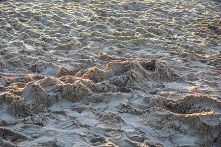 Sand dunes on the beach at low tide. Natural background.