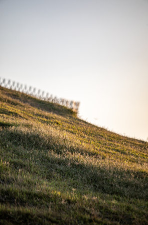 landscape of meadow and hill in the light of the setting sunの写真素材