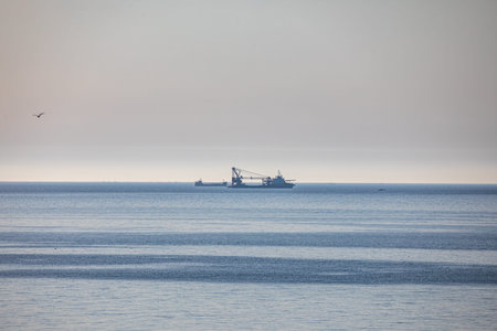 Cargo ship in the sea at sunset. View from above.
