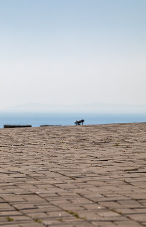 Bicycle on the cobblestone road in front of the seaの写真素材