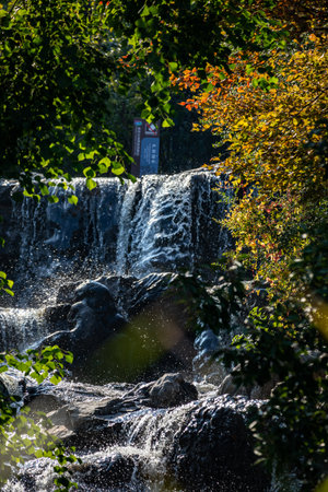 Waterfall in the forest. Waterfall in the forest in autumnの写真素材