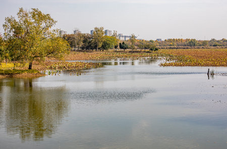 Landscape view of the lake in autumn, Luannan County, Hebei Province, China