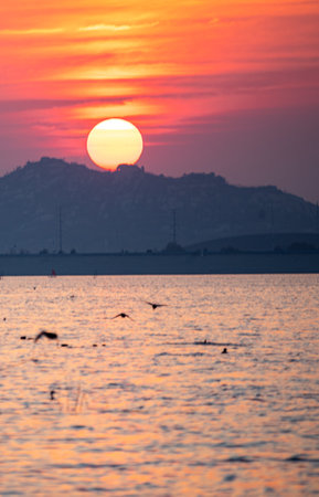 Sunset over the sea with seagulls in Istanbul, Turkeyの写真素材