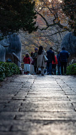 Unidentified people walking in the park.の写真素材