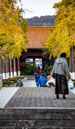 Unidentified people walking in the autumn park.の写真素材