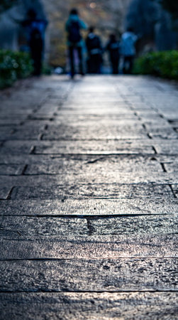 old stone walkway in the park with blurred people in the background