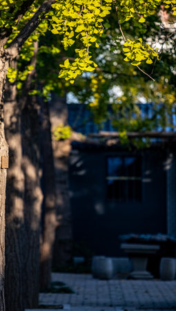 Beautiful green leaves on the trees in the garden. Selective focus.の写真素材