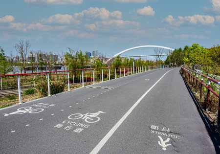 Urban landscape and bicycle path in the park, closeup of photoの写真素材