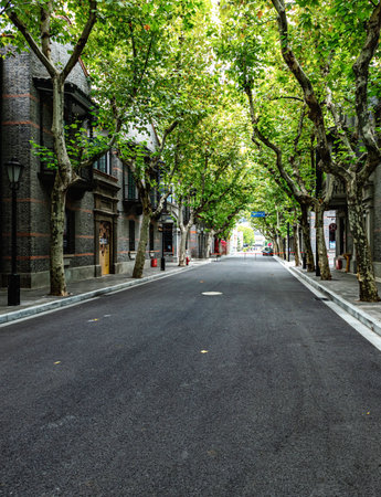Empty street in Shanghai, China.の写真素材