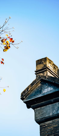 closeup of a chinese temple roof with autumn leaves and blue sky