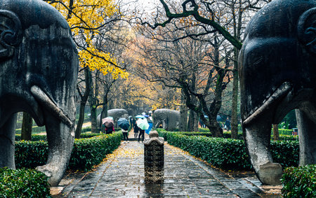 Unidentified people visit the park in Bangkok, Thailand.の写真素材