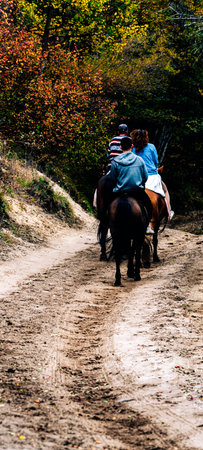 Horseback riding in the autumn forest. Rear view of a young couple riding a horse.の写真素材