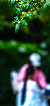 Blurred image of woman in the park with bokeh.の写真素材