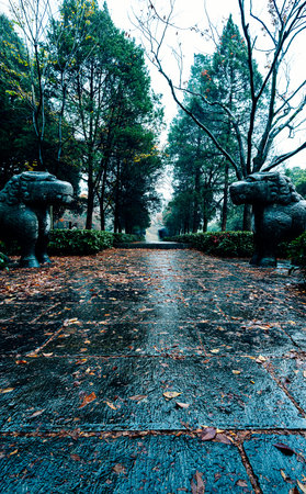 Garden at Doi Inthanon National Park, Thailand.