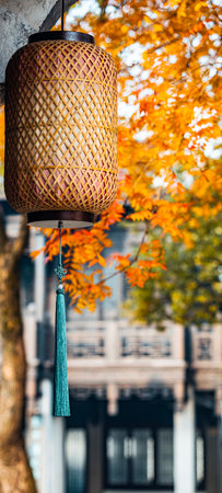 Japanese lanterns in the autumn garden. Selective focus with shallow depth of field.の写真素材