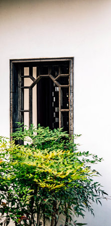 Old wooden window with green plant on white wall background.の写真素材