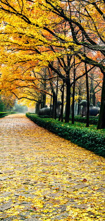 Autumn park alley with fallen leaves. Beautiful autumnal park alley.のeditorial素材