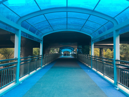 Pedestrian walkway with blue sky and green trees in the park