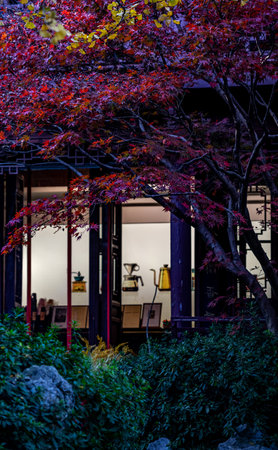 Autumn leaves at a restaurant in Kyoto. Kyoto is the capital and largest city of Japan.の写真素材