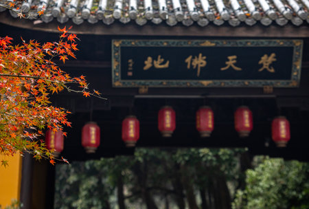 Colorful autumn leaves in the garden of Changdeokgung Palace in Seoul, South Koreaの写真素材