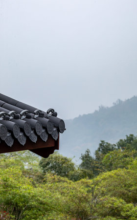 Roof tiles with intricate designs on a building in a natural setting with trees and mountains in the...